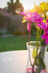 Close-up of pink flower vase on table