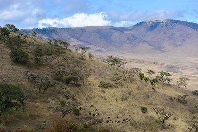 Scenic view of landscape against sky