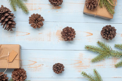 High angle view of pine cone on table