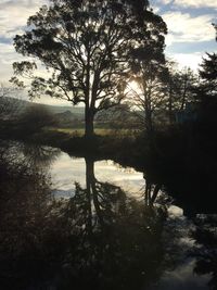 Silhouette trees by lake against sky during sunset