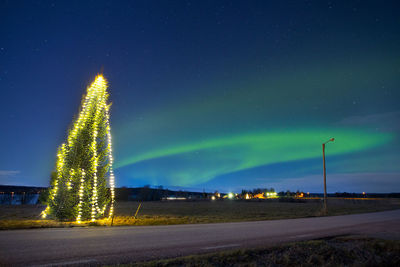 Illuminated tree on roadside against aurora borealis in sky