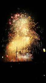 Fireworks exploding in night sky