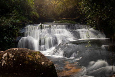 Scenic view of waterfall in forest