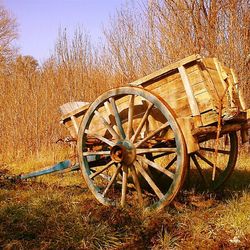 Old train on field