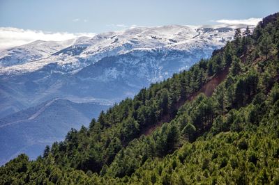 Sierra nevada, andalusia, spain