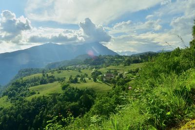 Scenic view of landscape against sky