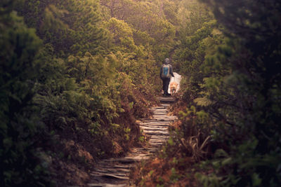 Rear view of woman with dog walking on boardwalk in forest