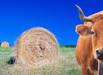 Hay bales on field against clear sky