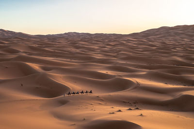 Scenic view of desert against sky during sunset