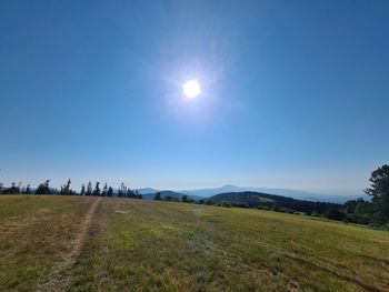 Scenic view of field against bright sun