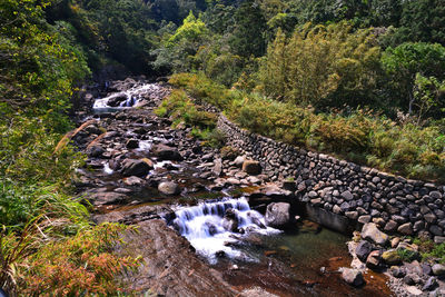 Stream flowing through rocks in forest