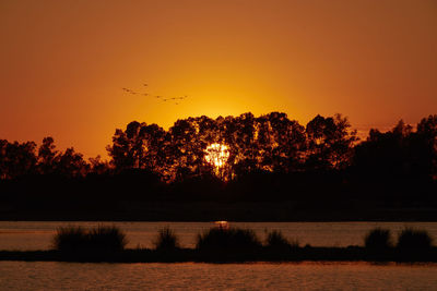 Silhouette trees by lake against sky during sunset