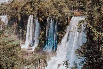 Scenic view of waterfall in forest