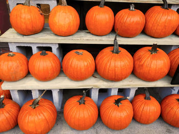 Pumpkins for sale at market