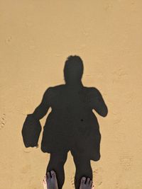 Shadow of man on sand