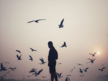 Low angle view of silhouette birds flying against sky