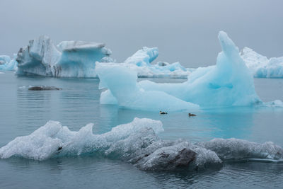 Floating icebergs in jokulsarlon glacial lagoon, iceland