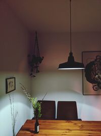 Potted plant on table at home