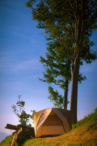 Tent by tree on field against sky