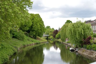 Scenic view of trees by canal against sky