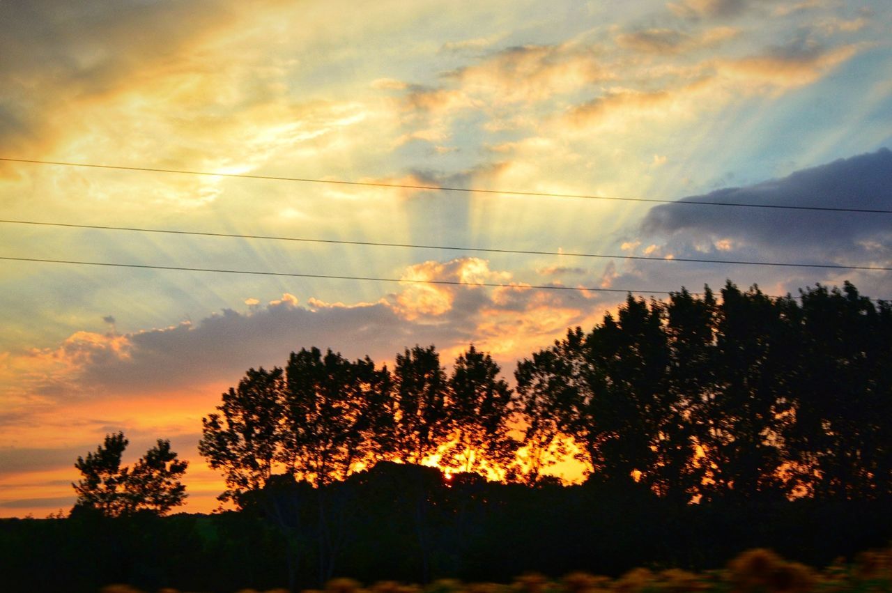 sky, sunset, beauty in nature, cloud - sky, tree, plant, orange color, nature, silhouette, scenics - nature, tranquility, no people, tranquil scene, growth, cable, outdoors, idyllic, low angle view, environment, dramatic sky, electricity