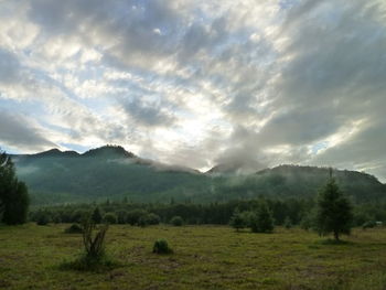 Scenic view of landscape against sky