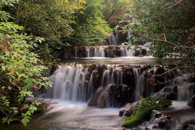 Scenic view of waterfall in forest