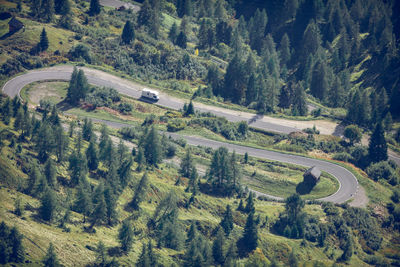 High angle view of road amidst trees in forest