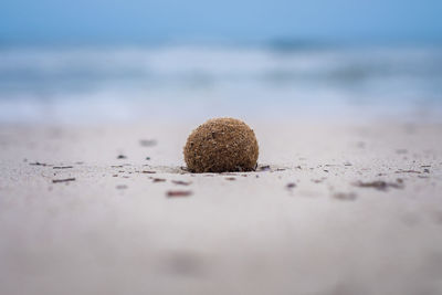 Surface level of sand on beach against sky