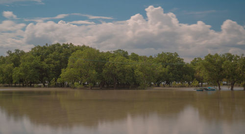 Scenic view of lake by trees against sky