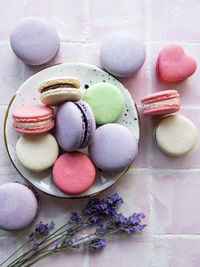 French macarons with different flavors and fresh lavender flowers