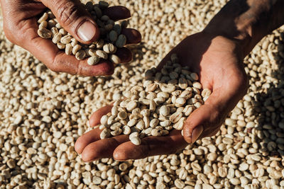 High angle view of hand holding coffee