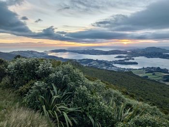 Scenic view of landscape by sea against cloudy sky