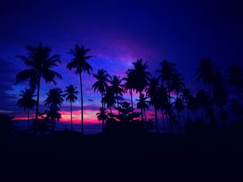 Silhouette palm trees on beach at sunset