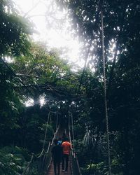 Woman standing on tree trunk