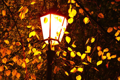 Low angle view of illuminated street light