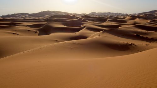 Sand dune in desert against sky