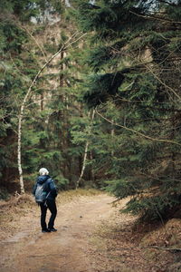 Rear view of man walking on footpath in forest