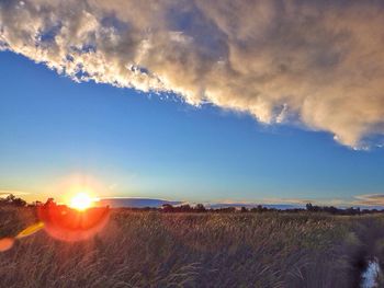 Scenic view of field against sky