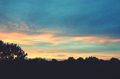 Silhouette of trees at sunset