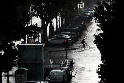 Cars on road by trees in city