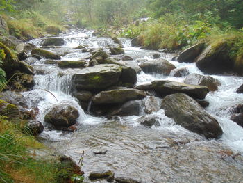 Scenic view of waterfall in forest