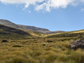 Scenic view of landscape against sky at mount kenya 