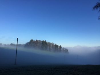 Trees on field against clear sky