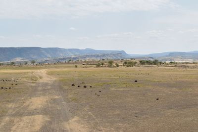 Arid landscapes against sky in rural kenya