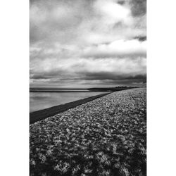 Close-up of beach against sky