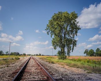 Railroad track amidst trees against sky