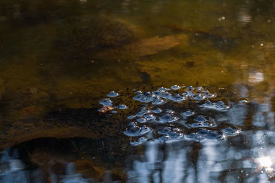 High angle view of raindrops on lake