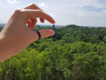 Close-up of hand holding plants against sky