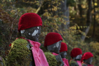 Close-up of red hat on tree